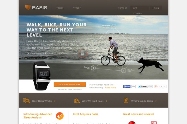 Basis website example screenshot