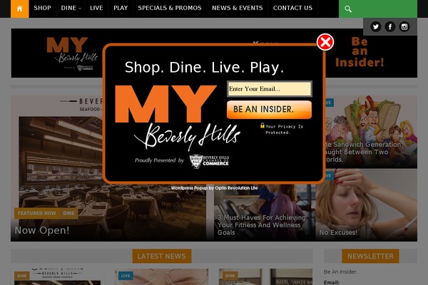 Nadia theme site design template sample