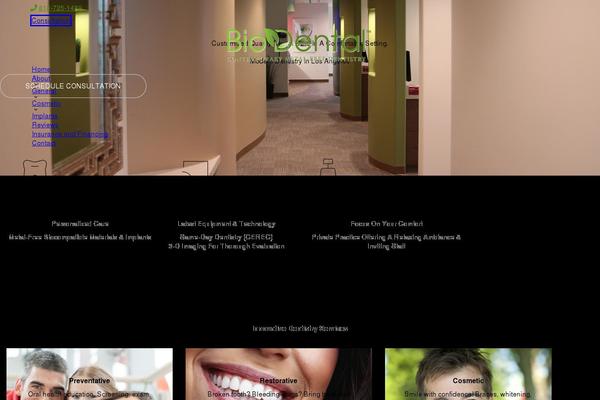 Site using Brizy-pro plugin