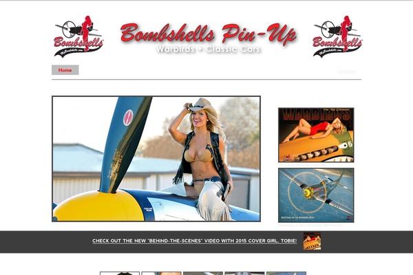 storefront-designer WordPress theme, websites list used storefront-designer theme storefront-designer theme websites examples