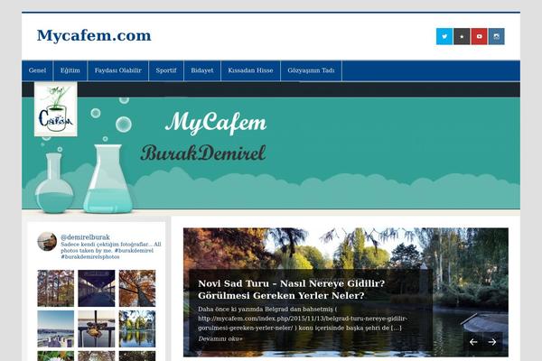 Smartline Lite theme site design template sample