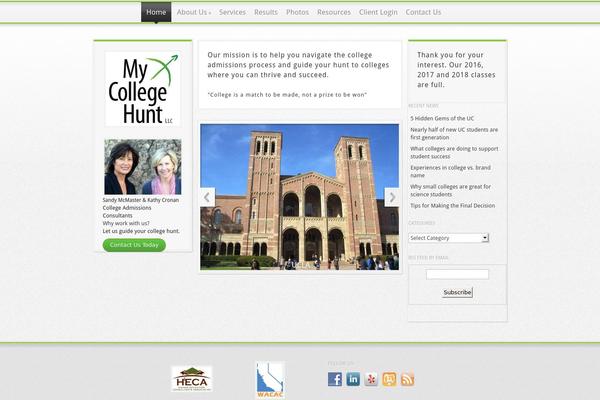 Magnificent theme site design template sample