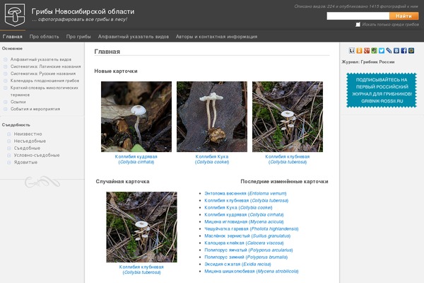 Site using Explanatory Dictionary plugin