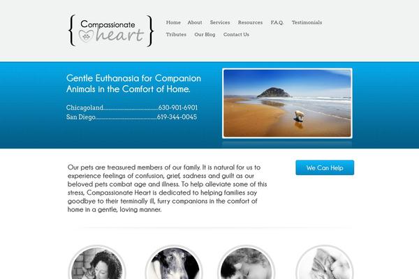 Poloray theme site design template sample
