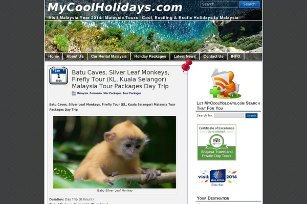 Patagonia theme site design template sample