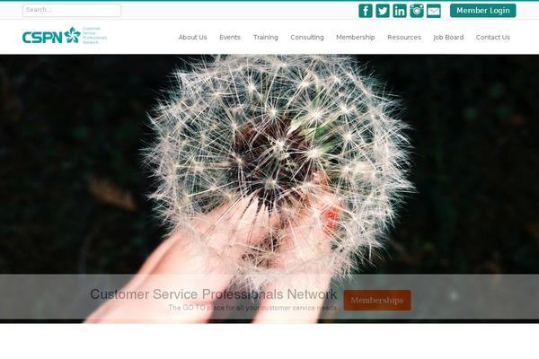Maximus theme site design template sample