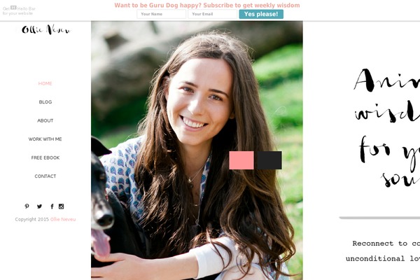 mydogmyguru.com site used Adelinechildtheme