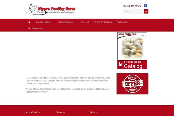 Total Child theme site design template sample