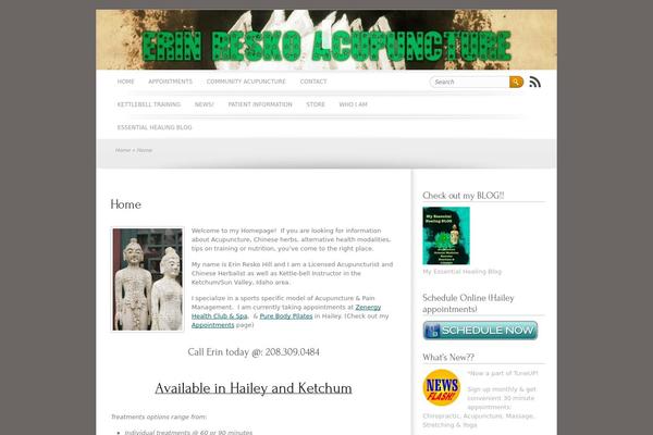Brightpage theme site design template sample