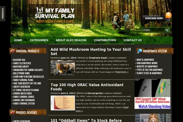 magicblue theme site design template sample