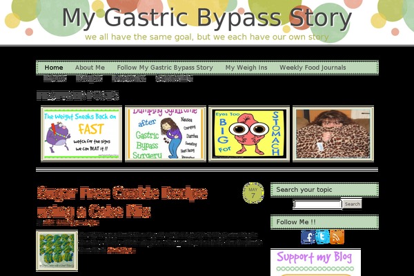 mygastricbypassstory.com site used Dotty