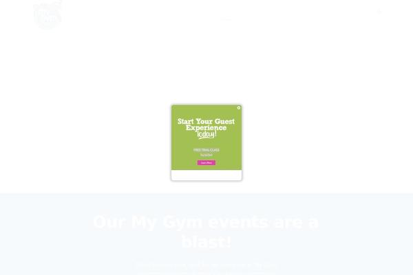 Site using Advanced-product-fields-for-woocommerce-pro plugin