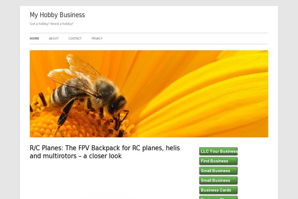 Tiny Forge theme site design template sample