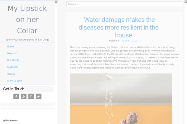 Eulite theme site design template sample