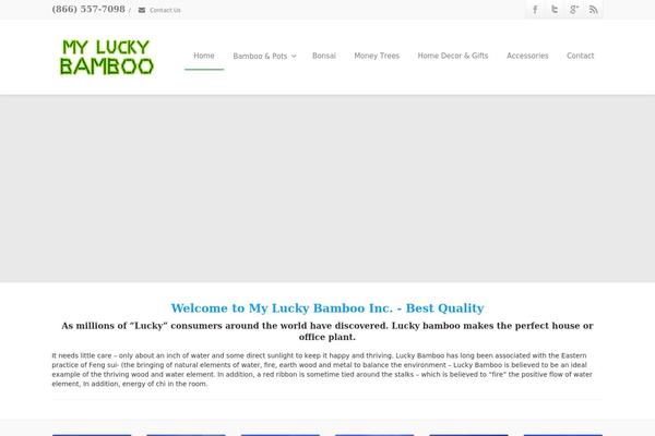 Envision Child theme site design template sample