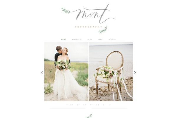 mymintphotography.com site used Animas