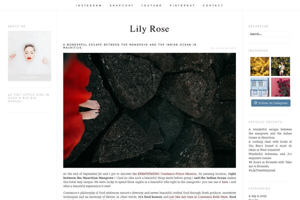 january theme websites examples