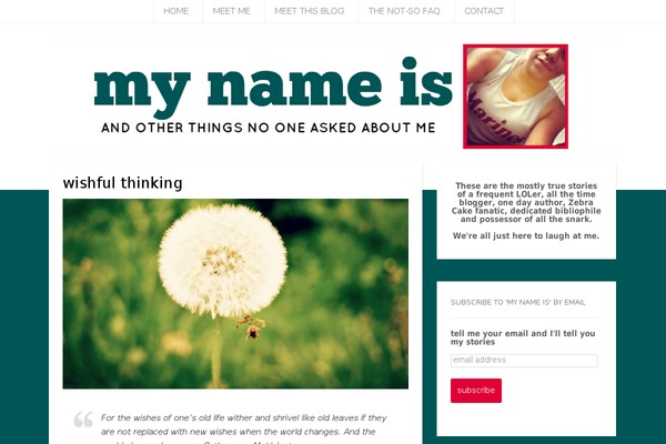 Master theme site design template sample