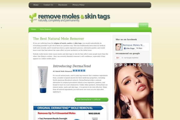 EarthlyTouch theme site design template sample