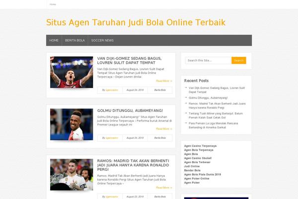 Bloggie theme site design template sample