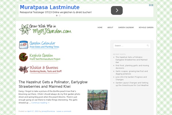Site using Simple Lightbox plugin