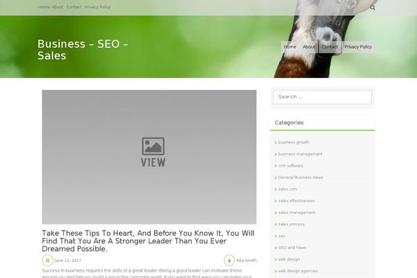 Aldehyde theme site design template sample