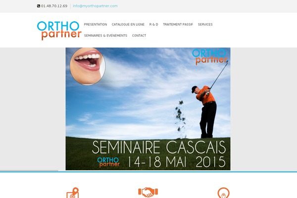 SoulMedic theme site design template sample