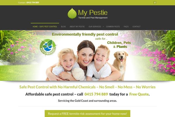 engager-child theme websites examples