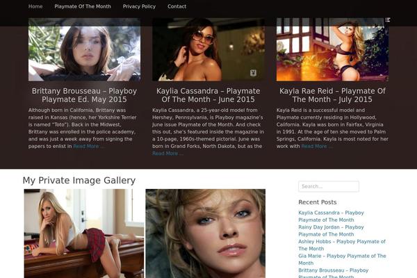 Full Frame theme site design template sample
