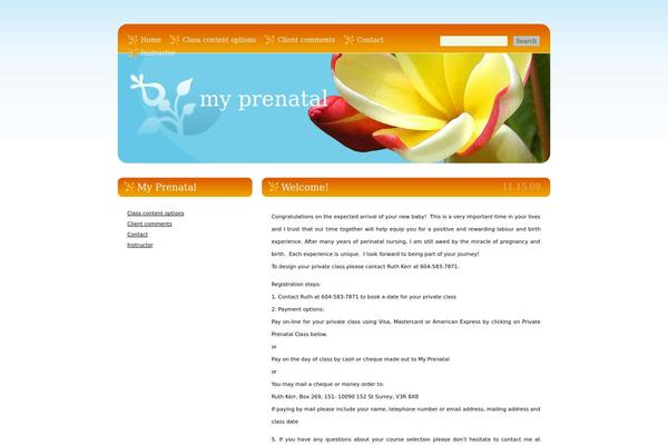 myprenatal.ca site used Blogging