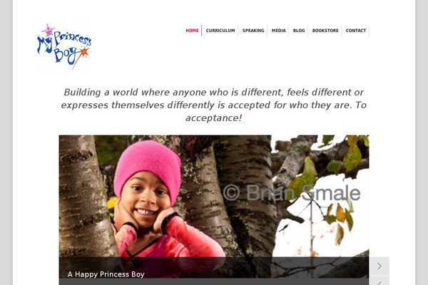 The Practice theme site design template sample