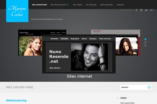 Fizz theme site design template sample