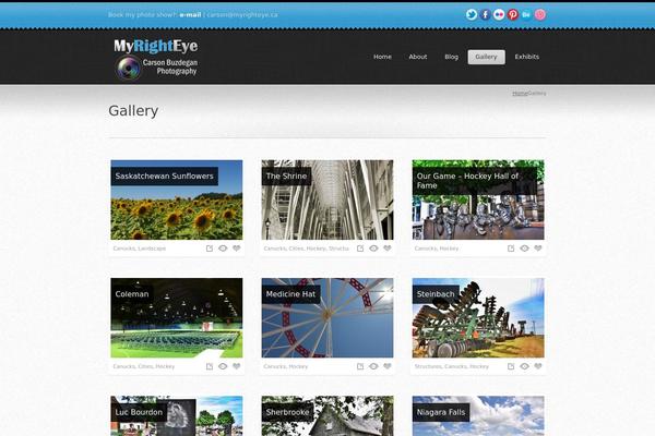 Shiny theme site design template sample
