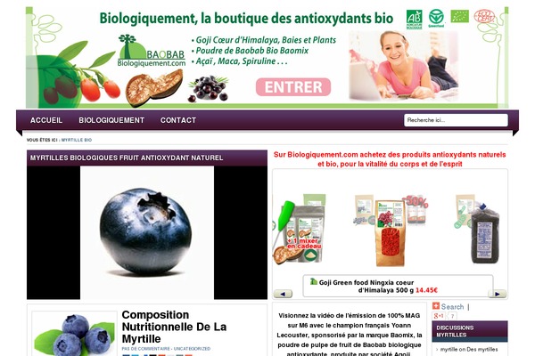 Lugada theme site design template sample