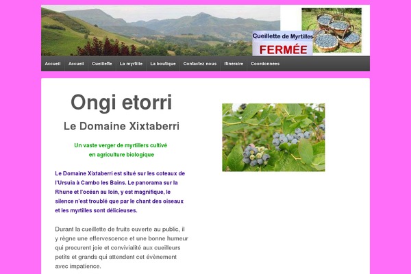 Responsive-child theme site design template sample