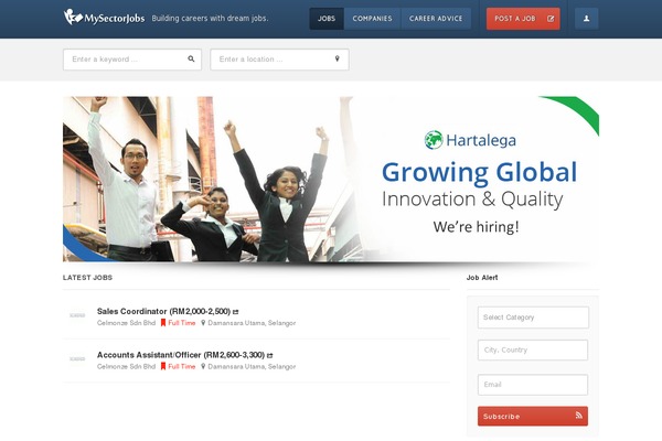 jobengine-child theme websites examples