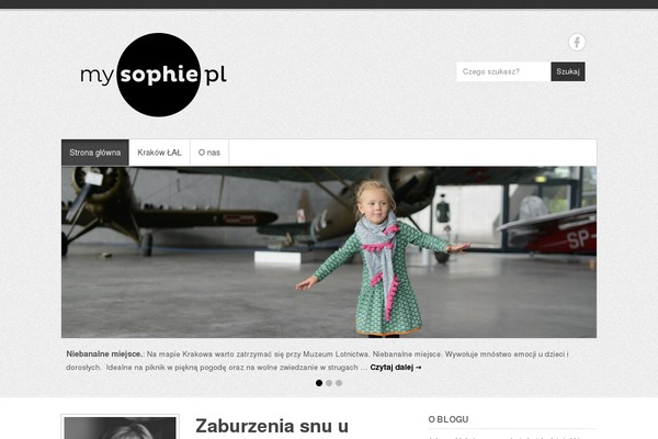 Simple Catch Pro theme site design template sample