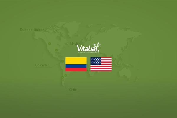 Site using My-social-widget plugin