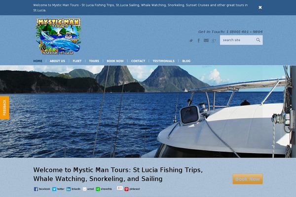 Choices theme site design template sample