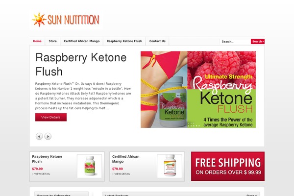 Wp Store theme site design template sample