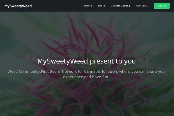 Seller theme site design template sample