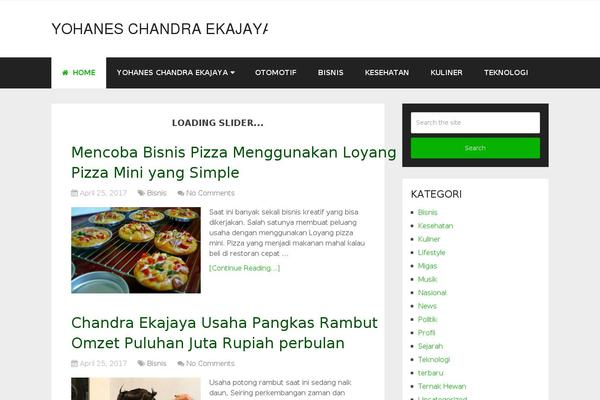 Schema theme site design template sample