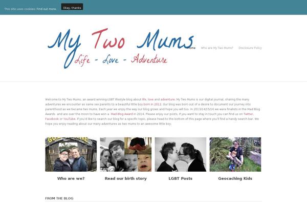 Elegant theme site design template sample