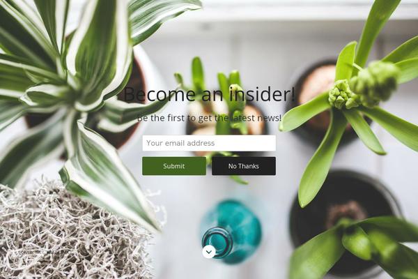 Kale theme site design template sample