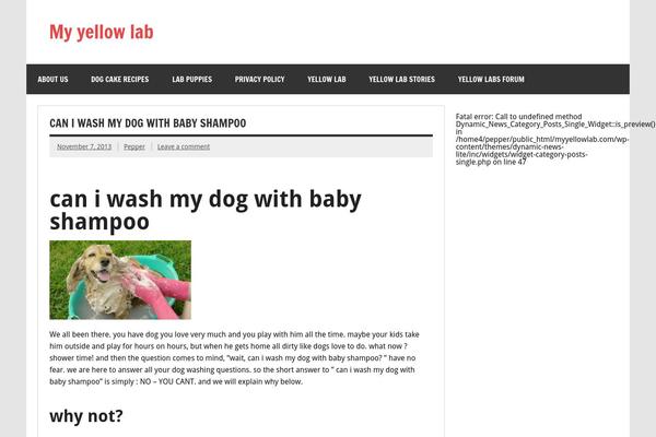 Dynamic News Lite theme site design template sample