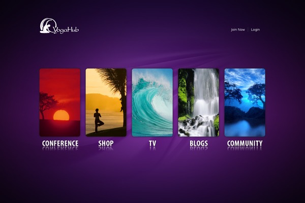 myyogahub.com site used Yhglobal-yhtv