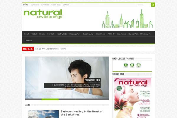Sahifa theme site design template sample