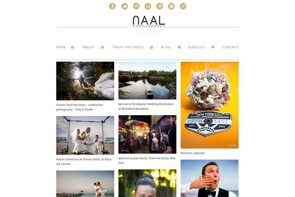 naalweddingphotography.com site used Prophoto4