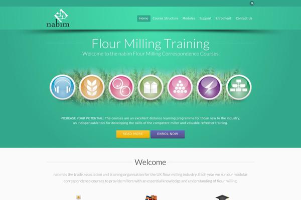 Flare theme site design template sample
