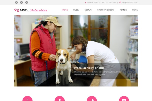 Petclinic theme site design template sample